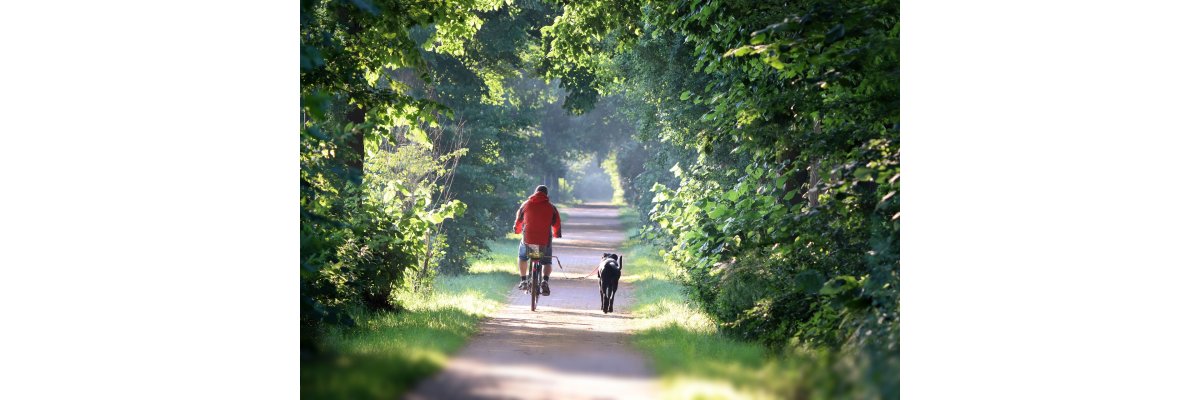Radfahren mit dem Hund - Radfahren mit dem Hund | RunFree-Dogswear