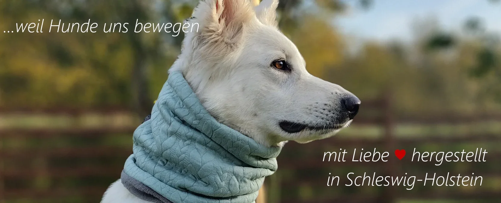 RunFree-Dogswear Hundeleinen und Hundezubehör aus...