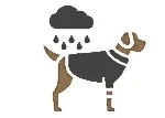 Hunde-Regenmantel