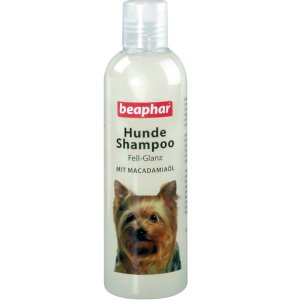 Welpen Shampoo Fell-Glanz