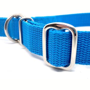 "Basic" Zugstopp Halsband, Blau