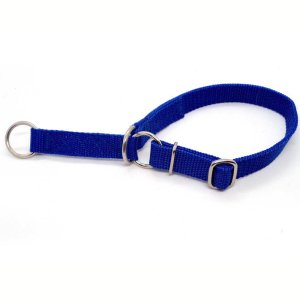 "Basic" Zugstopp Halsband, Royal Blau 25 - 40...