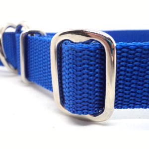 "Basic" Zugstopp Halsband, Royal Blau 30 - 50 cm / 25mm