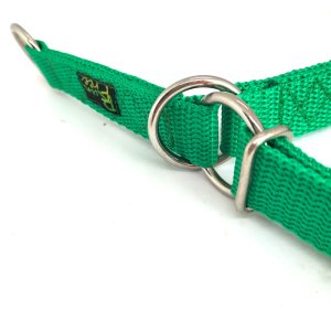 "Basic" Zugstopp Halsband, Grün 25 - 40 cm / 20mm