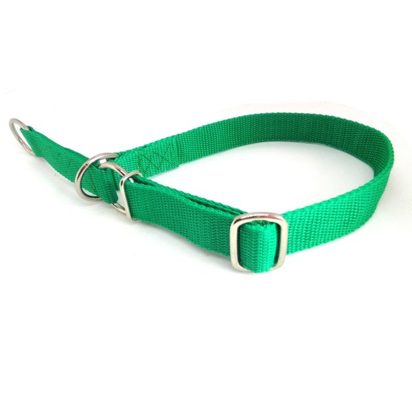 "Basic" Zugstopp Halsband, Grün 30 - 50 cm / 25mm