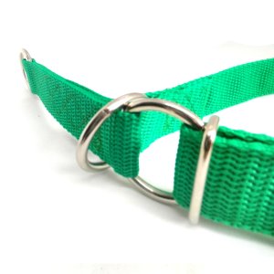"Basic" Zugstopp Halsband, Grün 30 - 50 cm / 25mm