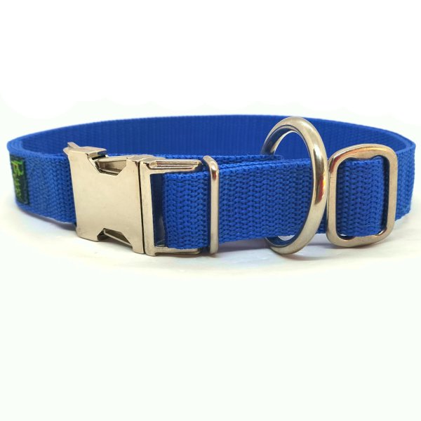 "Basic" Nylonhalsband, Royal Blau