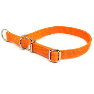 "Basic" Zugstopp Halsband, Orange