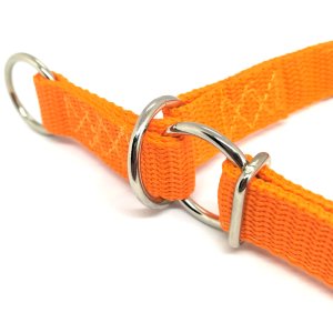 "Basic" Zugstopp Halsband, Orange 25 - 40 cm / 20mm