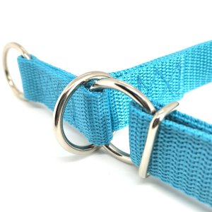 "Basic" Zugstopp Halsband, Aquamarin