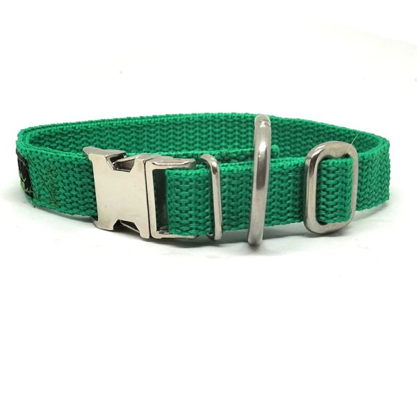 "Basic" Nylonhalsband, Grün 20 - 30 cm / 15mm