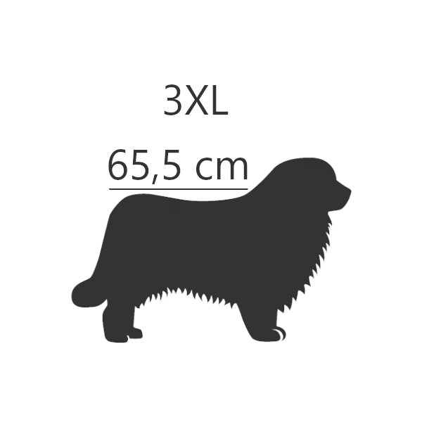 3XL - 65,5 cm