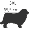3XL - 65,5 cm
