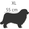 XL - 55 cm