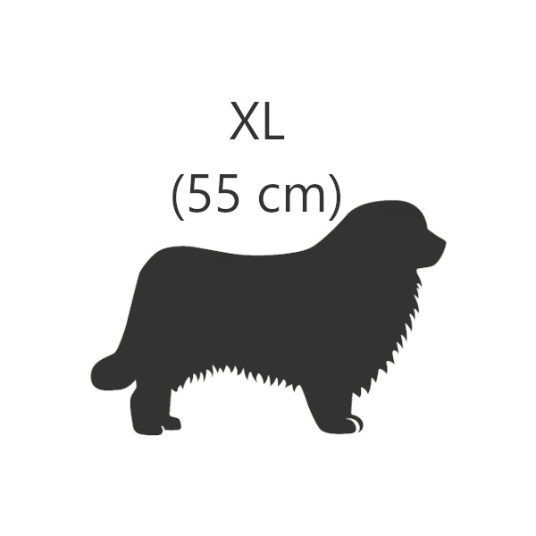 XL (55 cm)