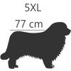 5XL- 77 cm