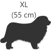 XL (55 cm)