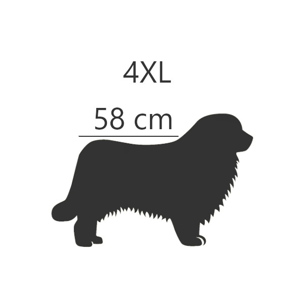 4XL - 58 cm