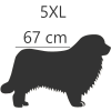 5XL - 67 cm